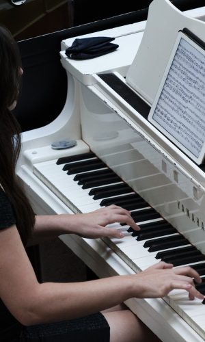 Vesta piano tuning service